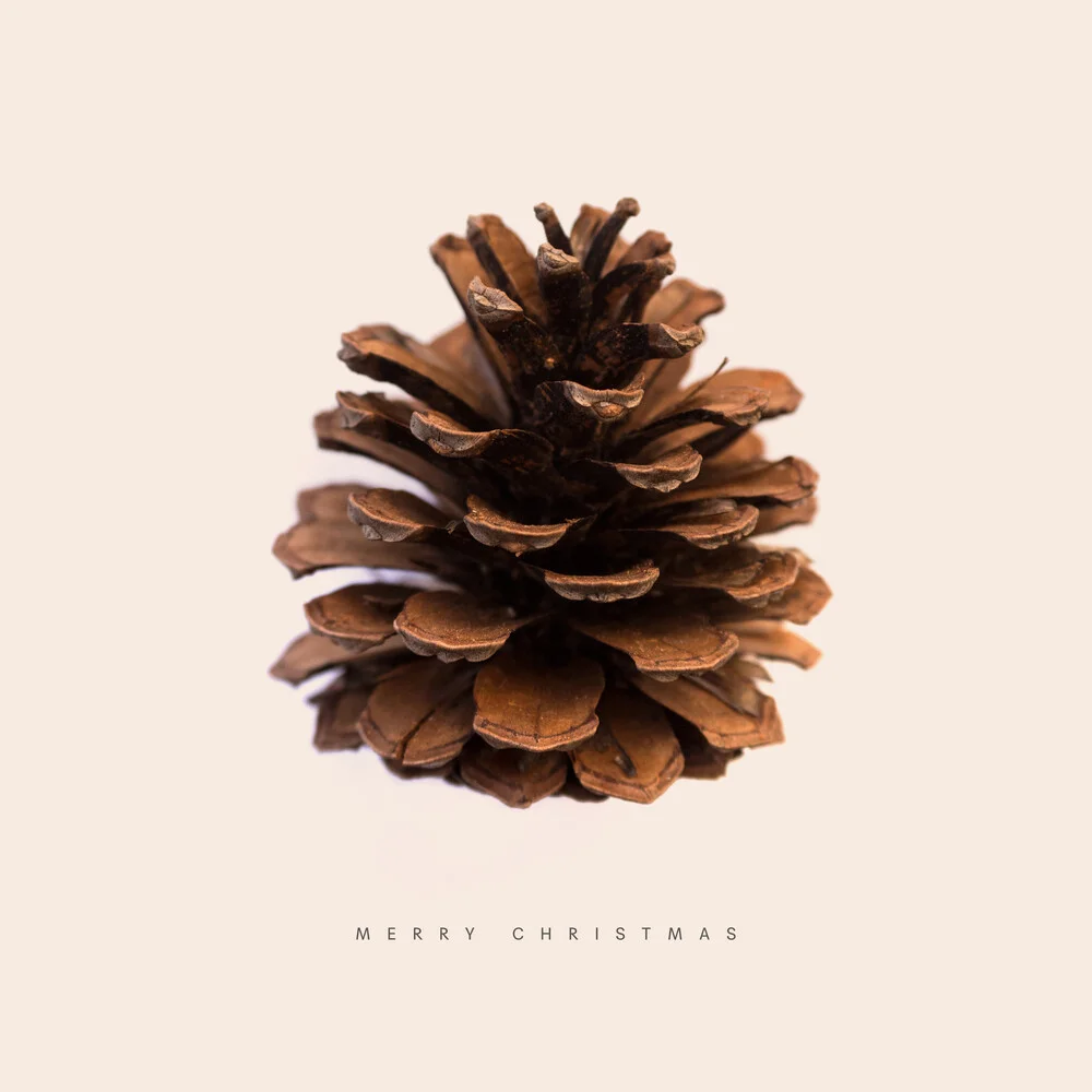 Merry Christmas Pine Cone 2 - Fotografía artística de Florent Bodart
