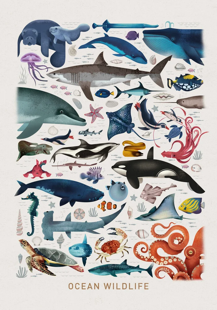 Ocean Wildlife - Fotografía artística de Dieter Braun