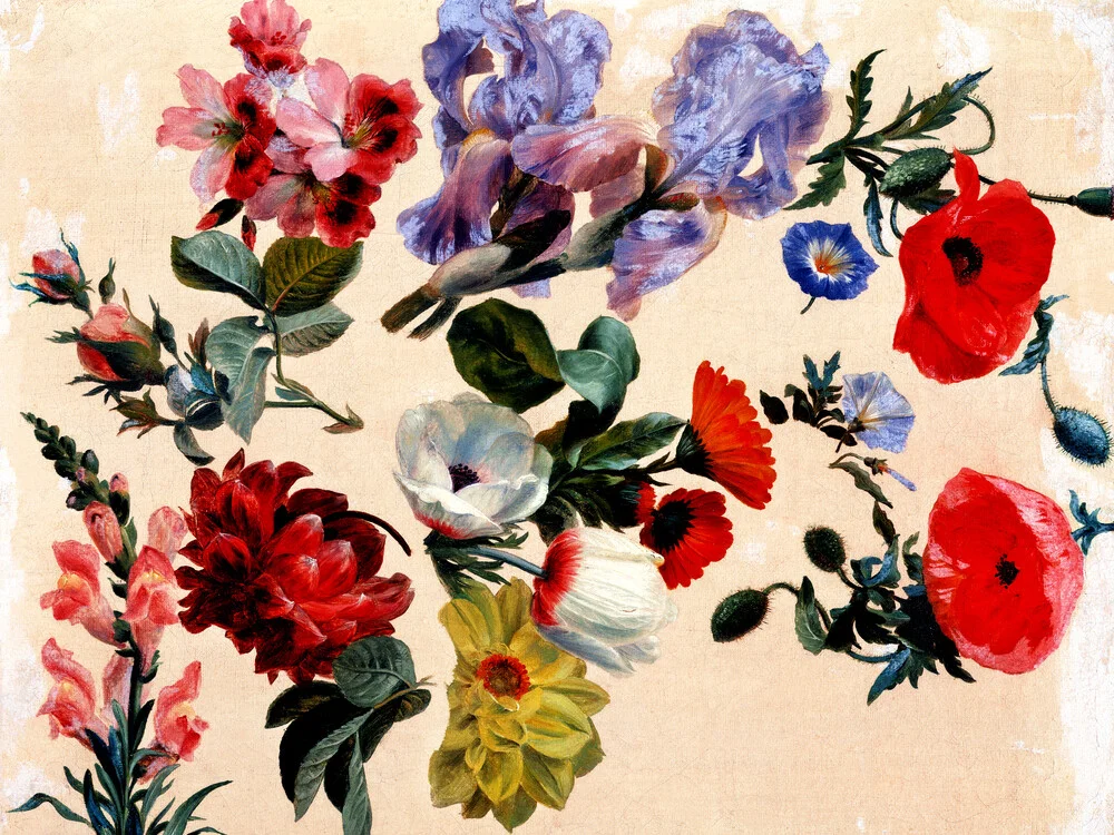 Jacques-Laurent Agasse: Estudios de flores de verano - Fotografía artística de Vintage Nature Graphics