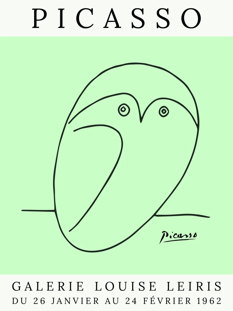 Búho Picasso – verde - Fotografía artística de Art Classics