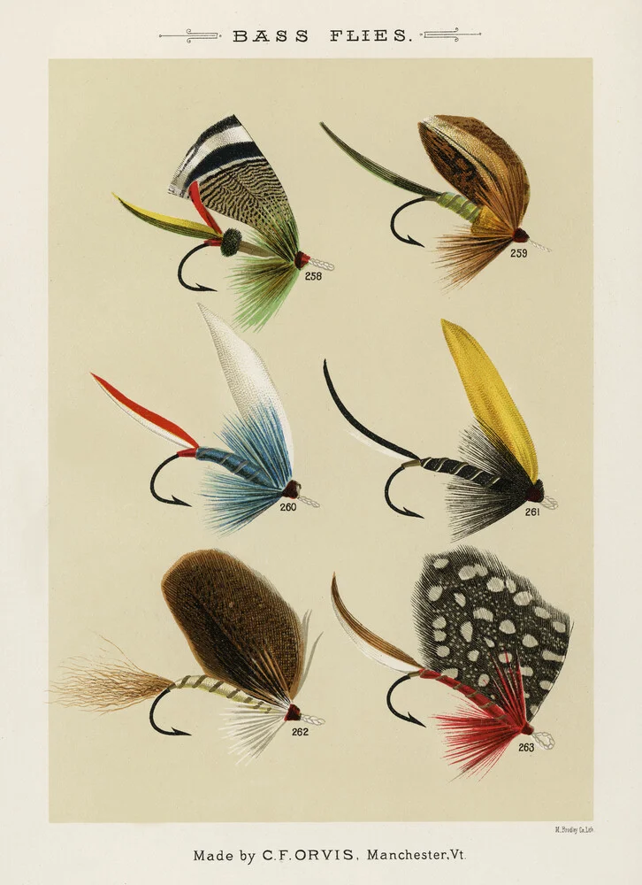 Mary Orvis Marbury: Bass Flies - Fotografía artística de Vintage Nature Graphics