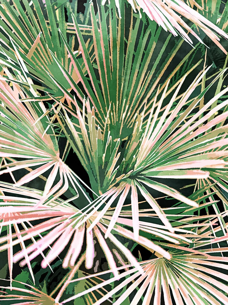 Palms II - Fotografía artística de Uma Gokhale