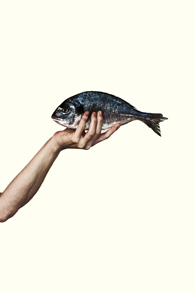 El pez - fotokunst de Manuela Deigert