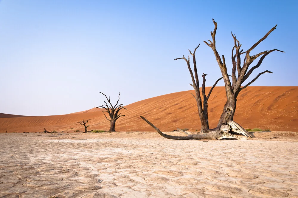 Sonnenaufgang Dead Vlei Sossusvlei Namibia - fotografía de Dennis Wehrmann