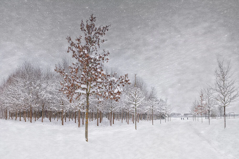 Campo de invierno - Fotografía artística de Roswitha Schleicher-Schwarz