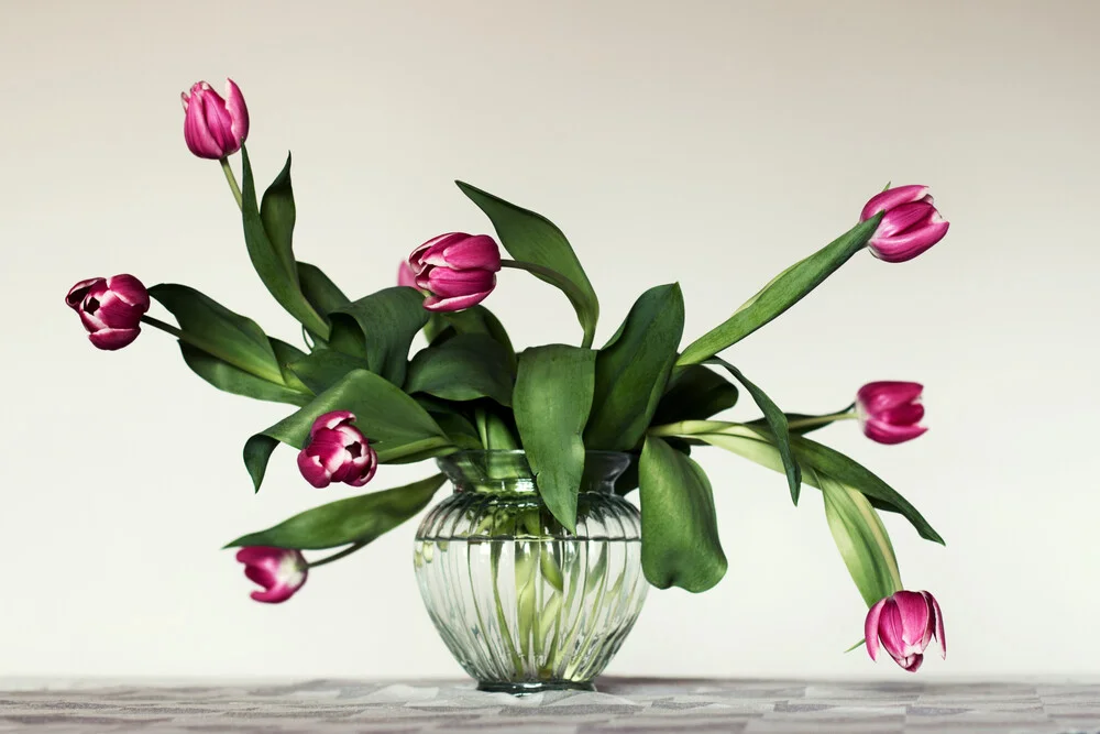 Bodegón con tulipanes - Fotografía Fineart de Manuela Deigert
