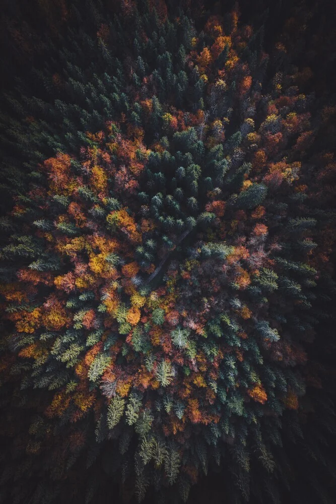 Bata de otoño - Fotografía artística de Patrick Monatsberger