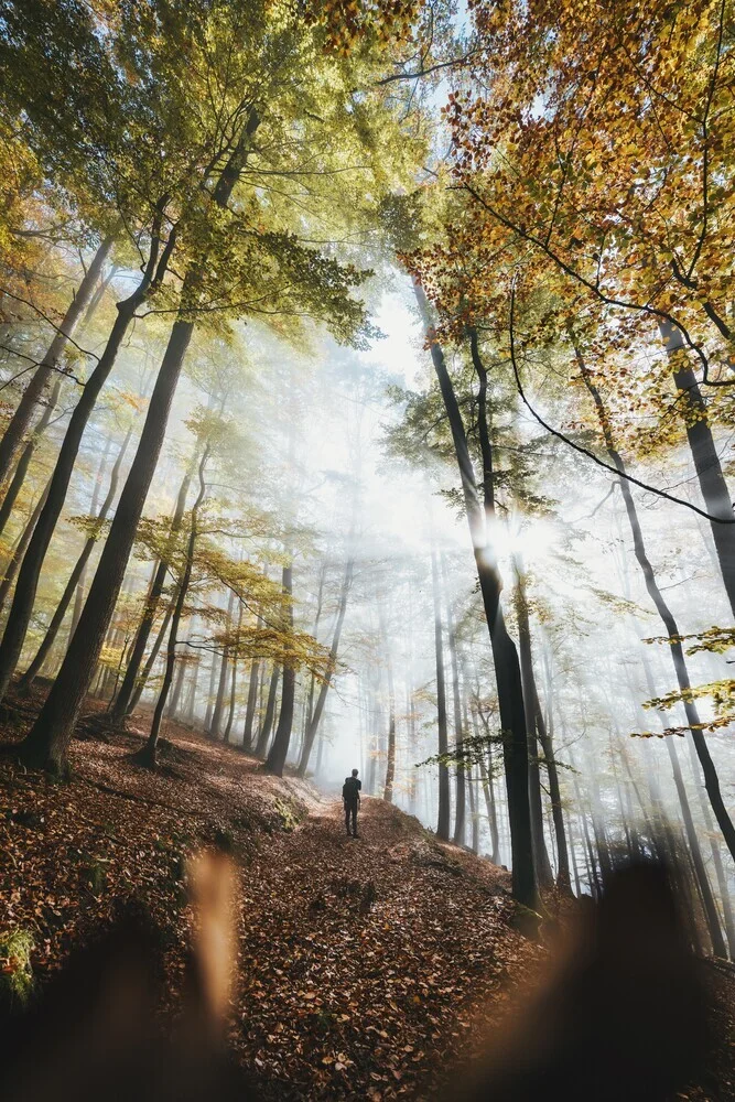 Hombrecito parado en el bosque - Fotografía artística de Patrick Monatsberger