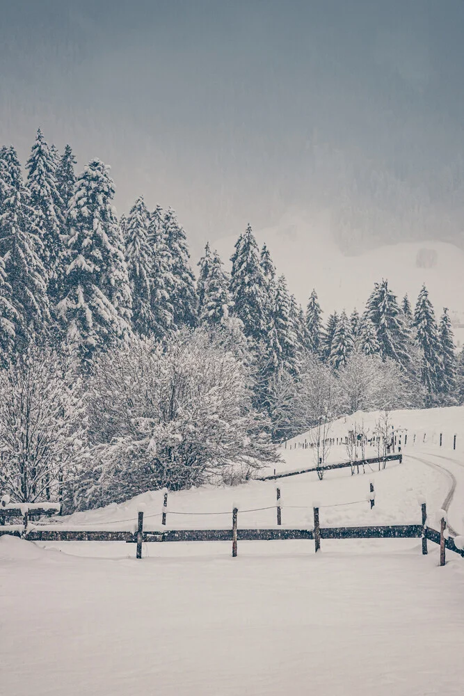 Subiendo la colina nevada - Fotografía artística de Eva Stadler