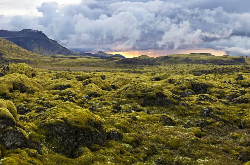 Paisaje surrealista con musgo lanoso al atardecer en Islandia - fotokunst von Markus Schieder
