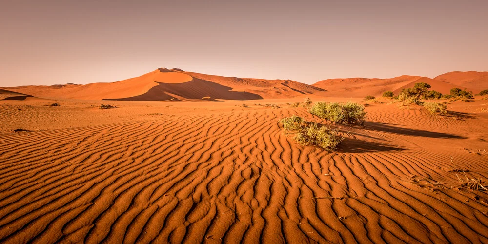 Duna en el desierto - Fotografía artística de Michael Stein