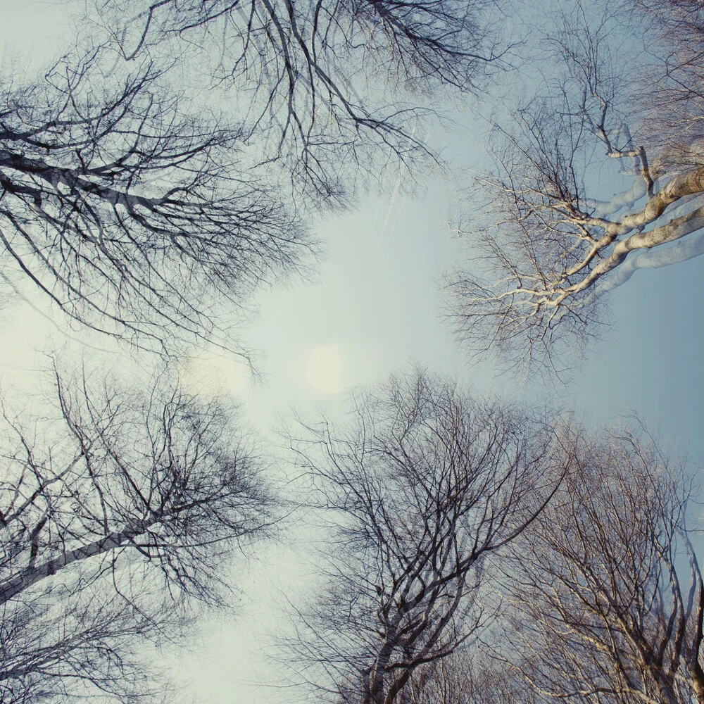 árboles y cielo azul - exposición múltiple - fotografía artística de Nadja Jacke