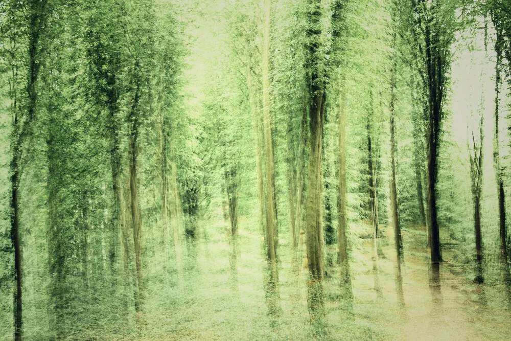Verwischter Wald - fotokunst de Nadja Jacke