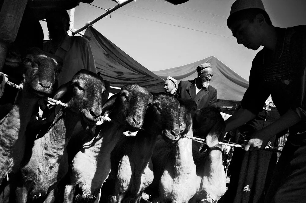 El mercado dominical de Kashgar - Fotografía artística de Brett Elmer