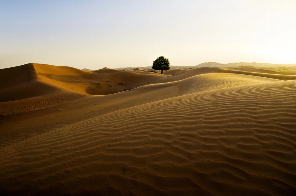 Wüste - Fotografía artística de Daniel Schoenen