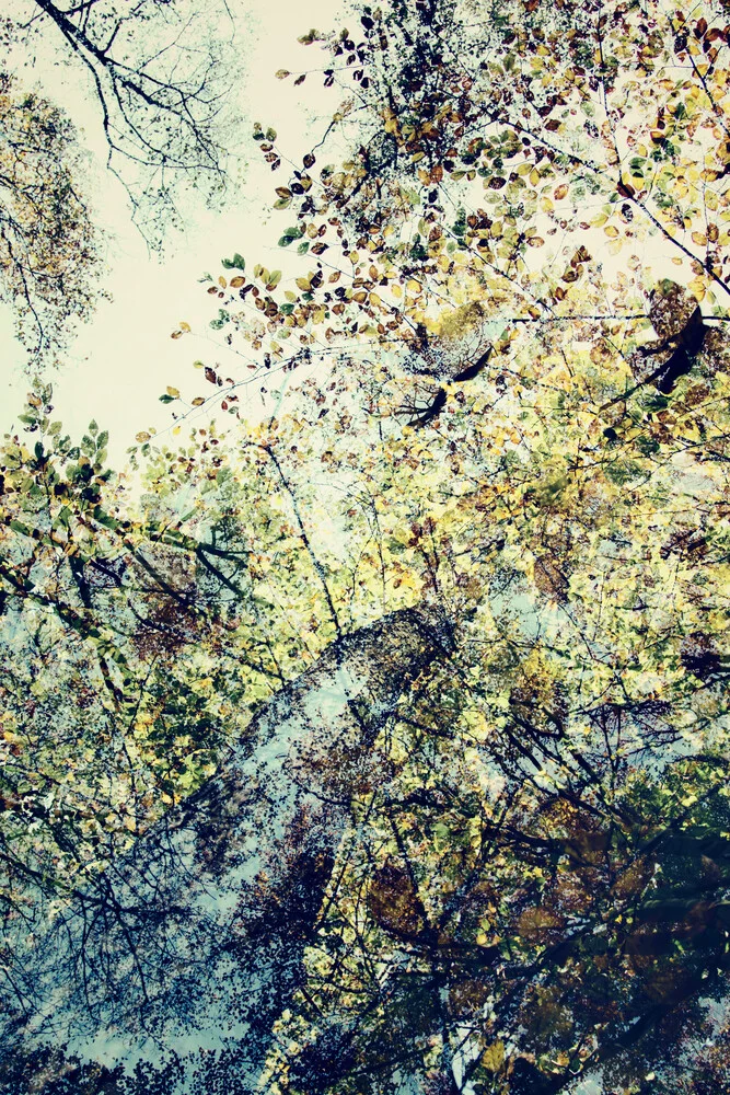 Herbstmuster - Fotografía artística de Nadja Jacke