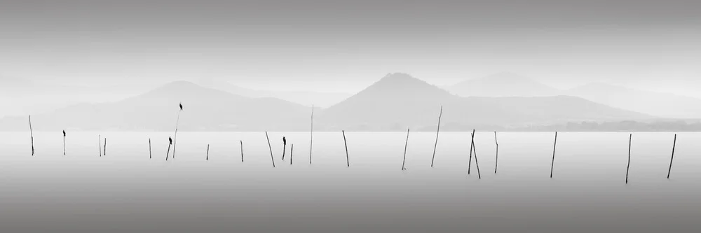 Cuatro pájaros - Lago Trasimeno Italia - Fotografía artística de Ronny Behnert