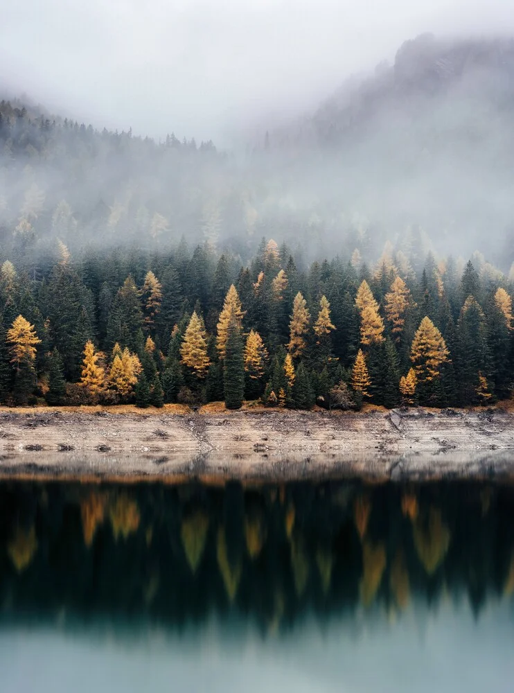 Herbstlicher Wald Reflektion - fotokunst de Christian Hartmann