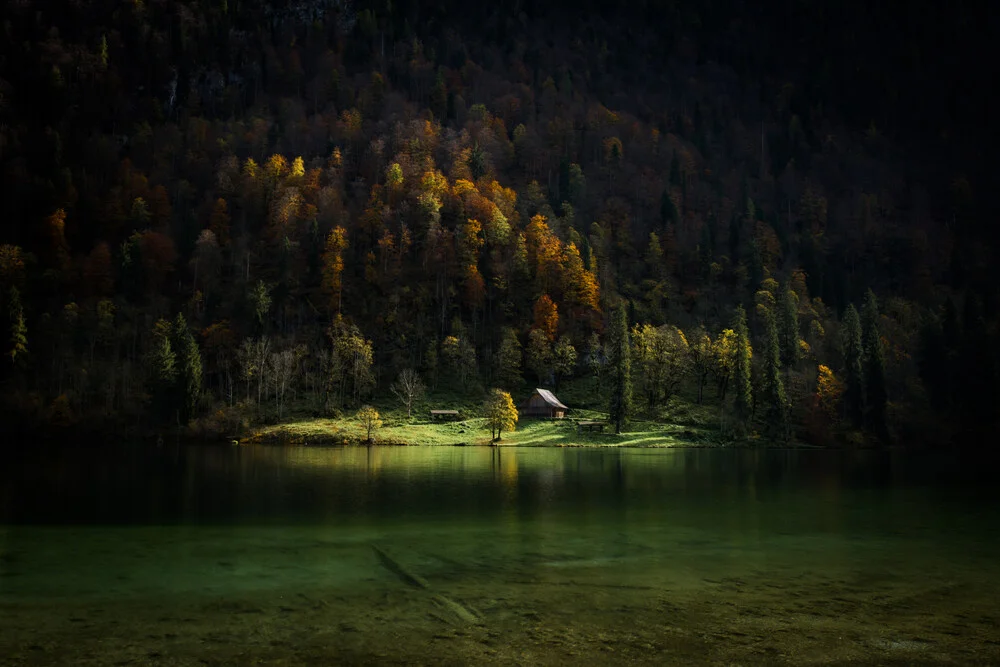 Paradies verdes - fotokunst de Michael Schadler