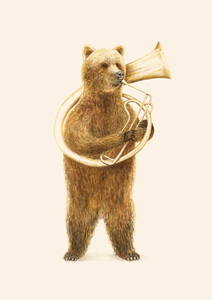 El oso y su Helicón - Fotografía artística de Florent Bodart