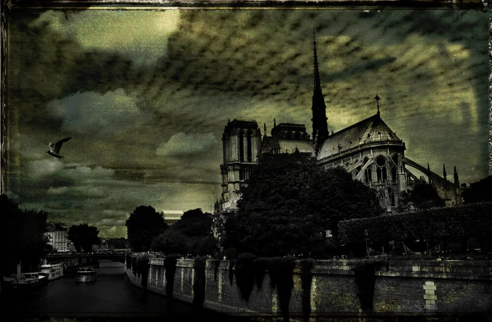 Notre Dame de Paris - Fotografía artística de Sophie Etchart