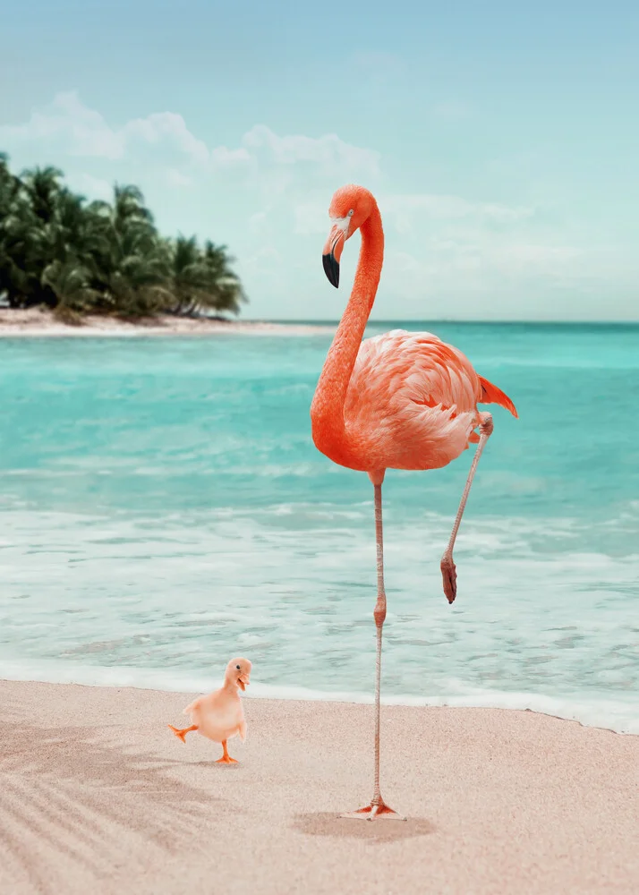 Wannabe Flamingo - Fotografía artística de Jonas Loose