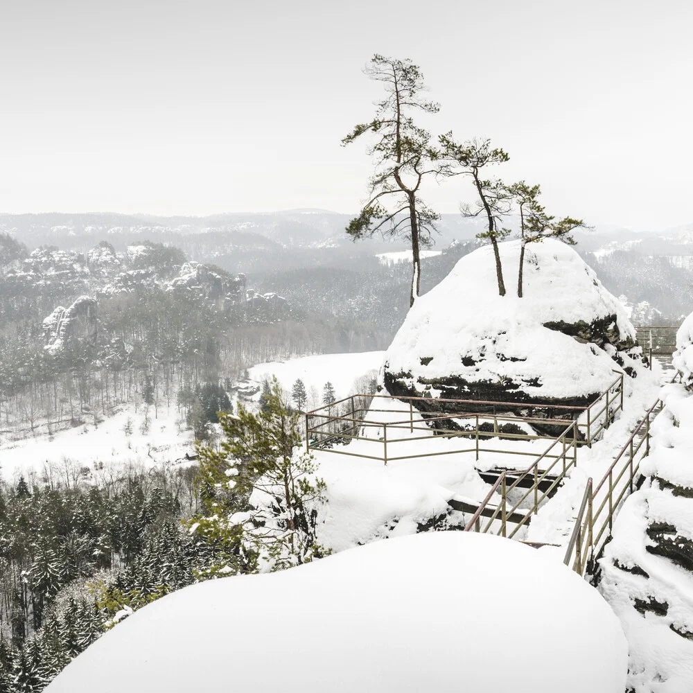 Isla de los pinos - Sächsische Schweiz - Fotografía artística de Ronny Behnert