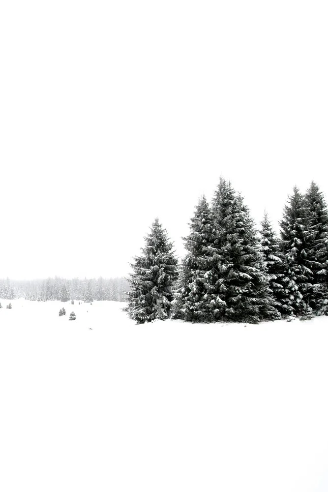 White White Winter 2/2 - Fotografía artística de Studio Na.hili