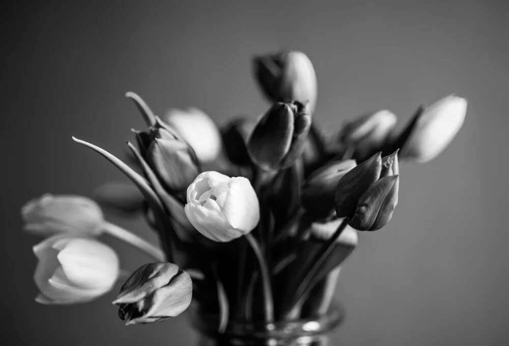 Tulpen - fotokunst de Gabriele Spörl