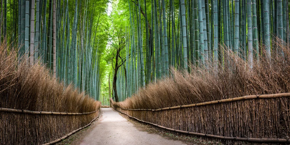 Bambuswald en Arashiyama - fotokunst de Jan Becke