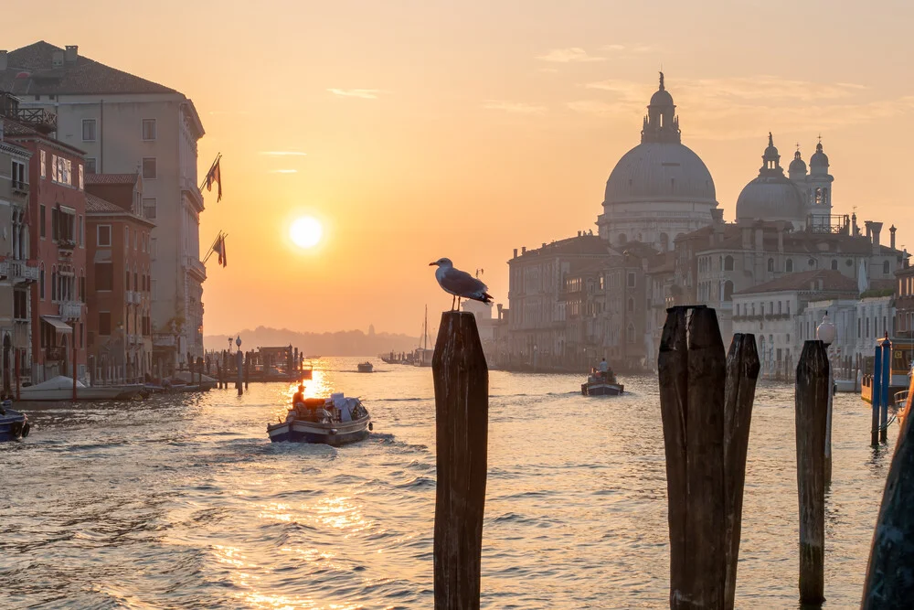 Sonnenaufgang am Canal Grande en Venedig - fotokunst de Jan Becke