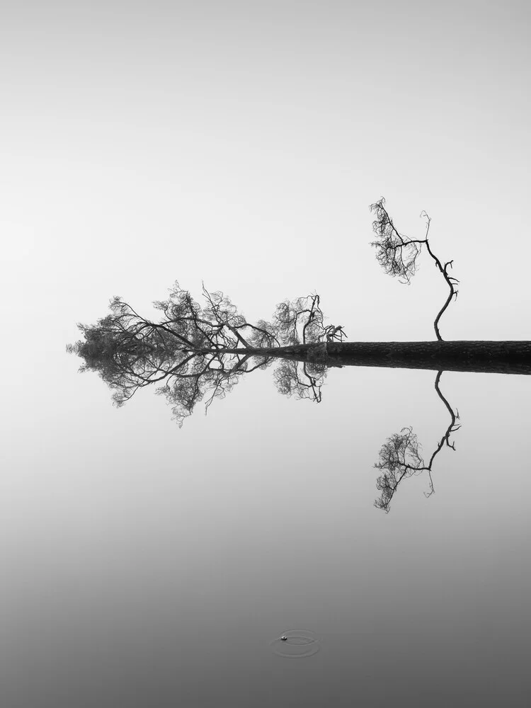 Reflexiones sobre el agua - fotokunst de Holger Nimtz