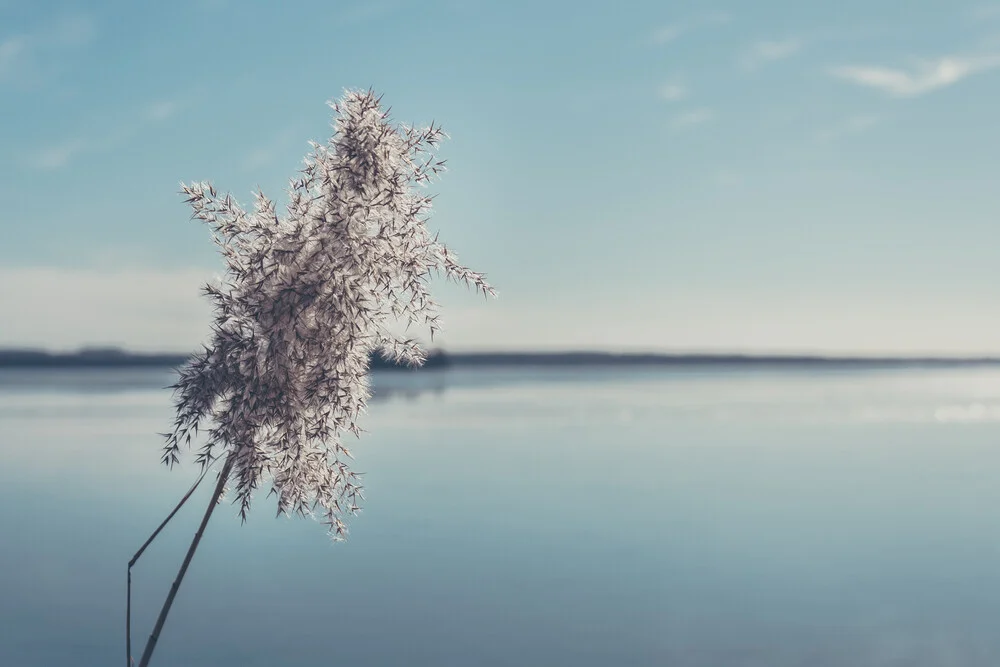 En el lago - Fotografía artística de Björn Witt
