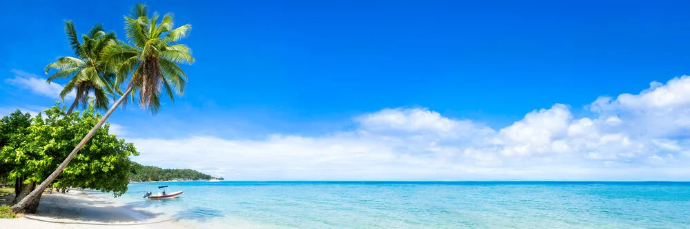 Playa de ensueño en Bora Bora con palmeras y agua azul turquesa - Fotografía artística de Jan Becke