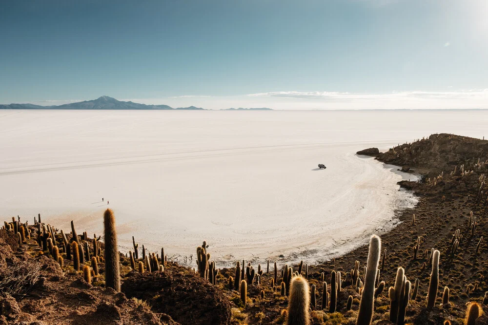 Una isla en el desierto - Fotografía artística de Felix Dorn