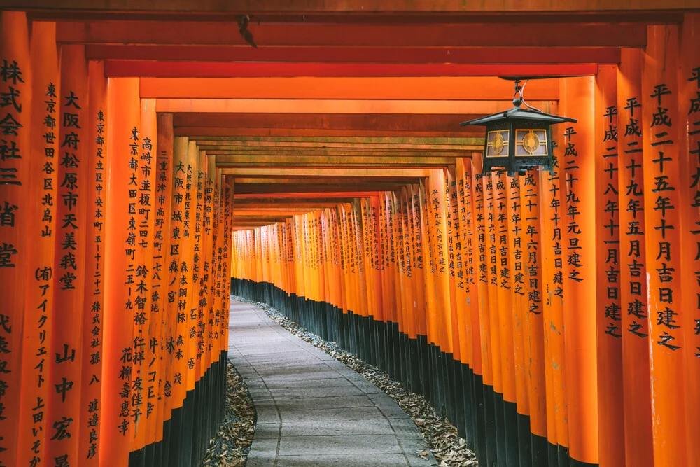 torii rojo en kyoto - Fotografía artística de Leander Nardin