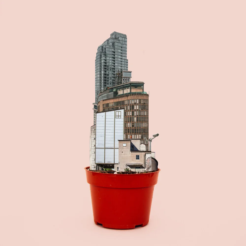 flowerpot life 3 - Fotografía artística de Marko Köppe