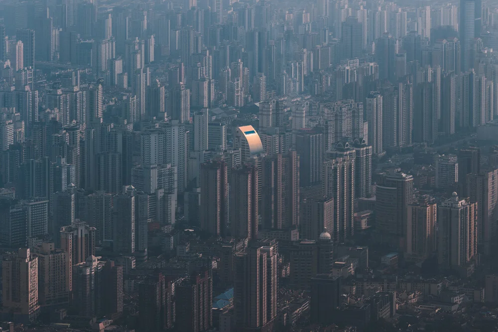 One in a Shanghai - fotokunst de AJ Schokora