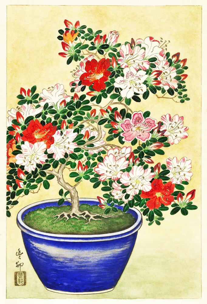 Azalea floreciente de Ohara Koson - Fotografía artística de Japanese Vintage Art