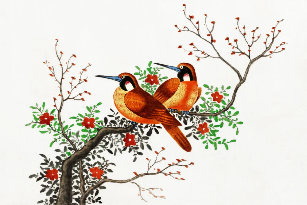 Pintura china con dos pájaros en la rama de un árbol en flor - Fotografía artística de Vintage Nature Graphics