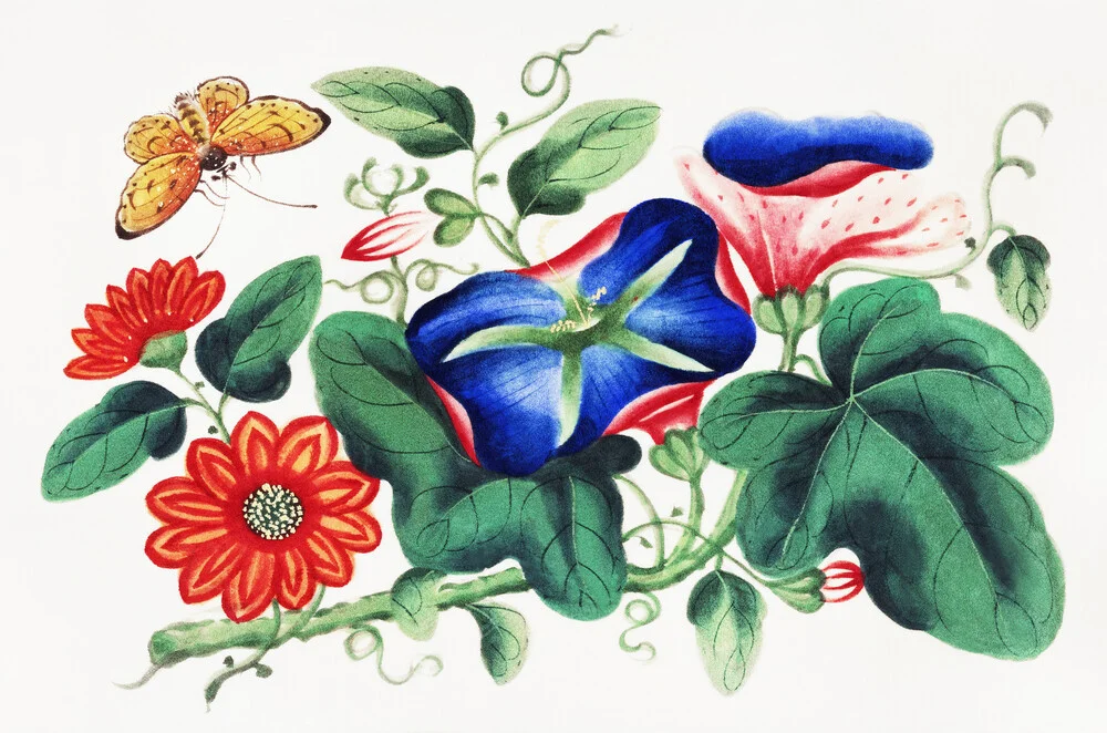 Pintura china con flores y una mariposa amarilla - Fotografía artística de Vintage Nature Graphics