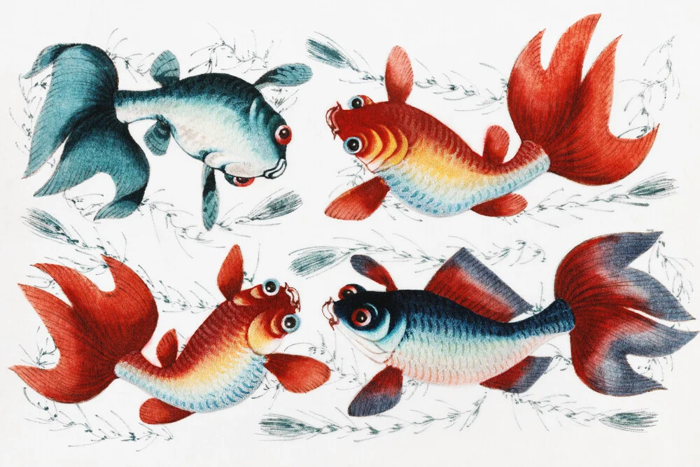 Pintura china con dos peces dorados y dos plateados - Fotografía artística de Vintage Nature Graphics