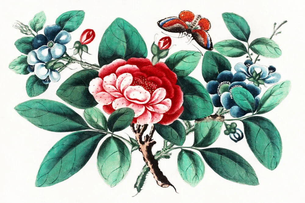 Pintura china: mariposa y flores - Fotografía artística de Vintage Nature Graphics