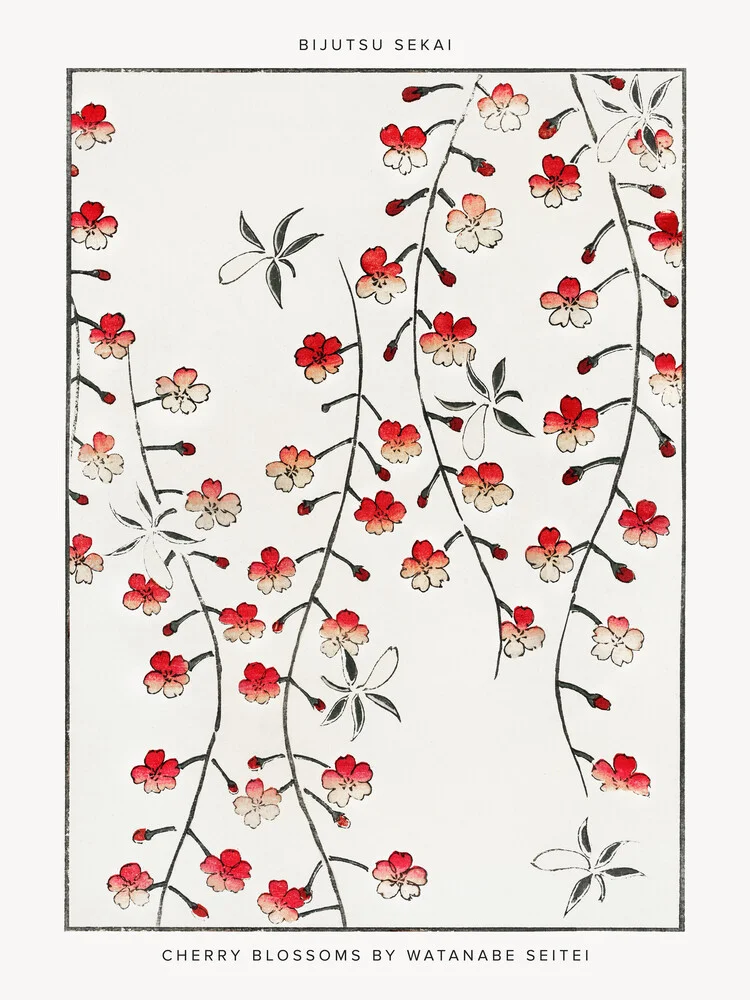 Watanabe Se: Ilustración de flor de cerezo - Fotografía artística de Japanese Vintage Art