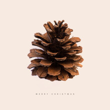 Florent Bodart, Merry Christmas Pine Cone 2 (Alemania, Europa)