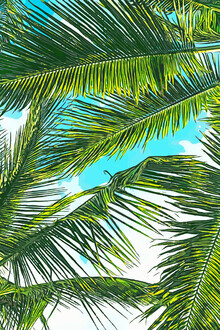 Uma Gokhale, La vida bajo las palmeras, Colorful Bohemian Beachy