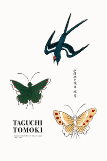 Arte vintage japonés, Taguchi Tomoki: Yatsuo no tsubaki 5 (Japón, Asia)