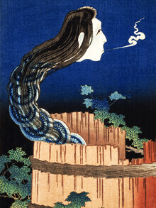 Arte vintage japonés, The Plate Mansion de Katsushika Hokusai (Japón, Asia)
