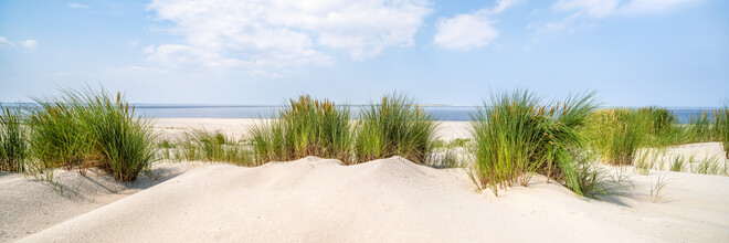 Jan Becke, Paisaje de dunas con hierba de playa - Alemania, Europa)