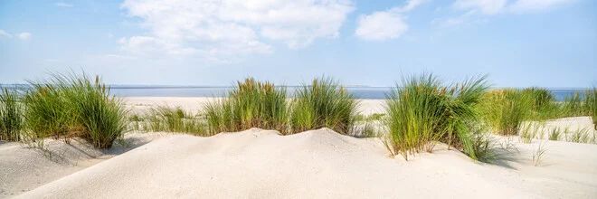 Paisaje de dunas con hierba de playa - Fotografía artística de Jan Becke